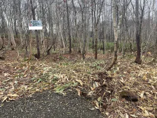 301 Land #3